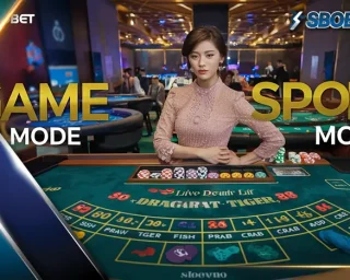 SBO เป็นหนึ่งในผู้นำที่ขับเคลื่อนนวัตกรรมควบคู่ไปกับการสร้างชุมชนผู้เล่นที่แข็งแกร่ง โดยเฉพาะอย่างยิ่ง play KUBET คืออันดับ 1